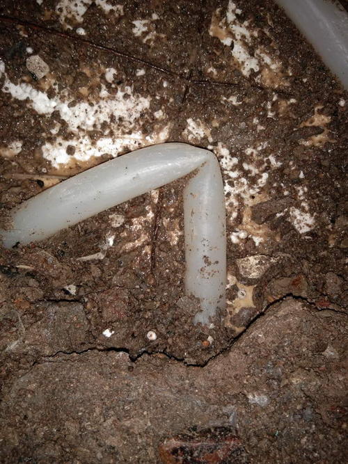 莲花堵点精准查找